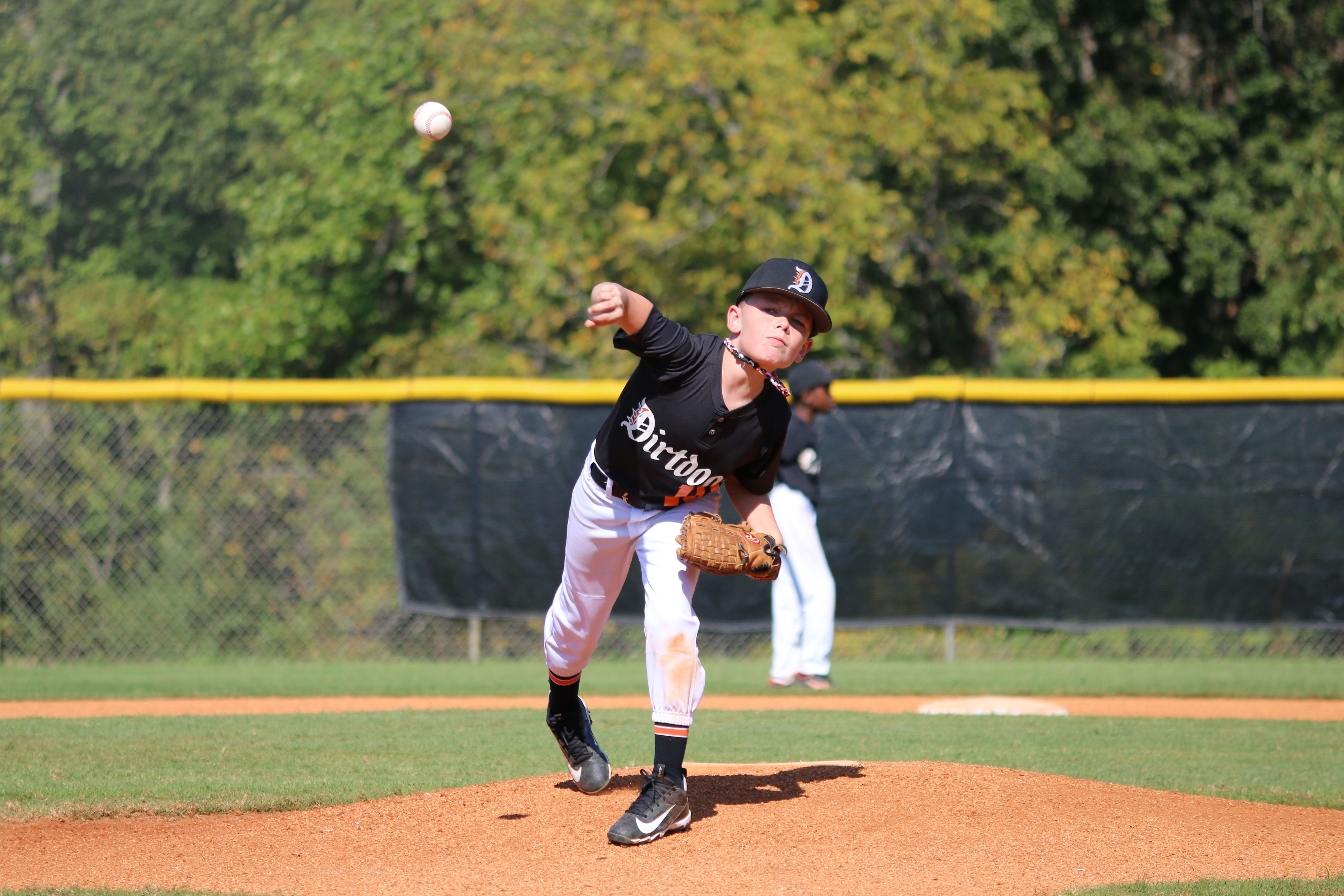 Dirt Dogs pitcher delivering from the mound